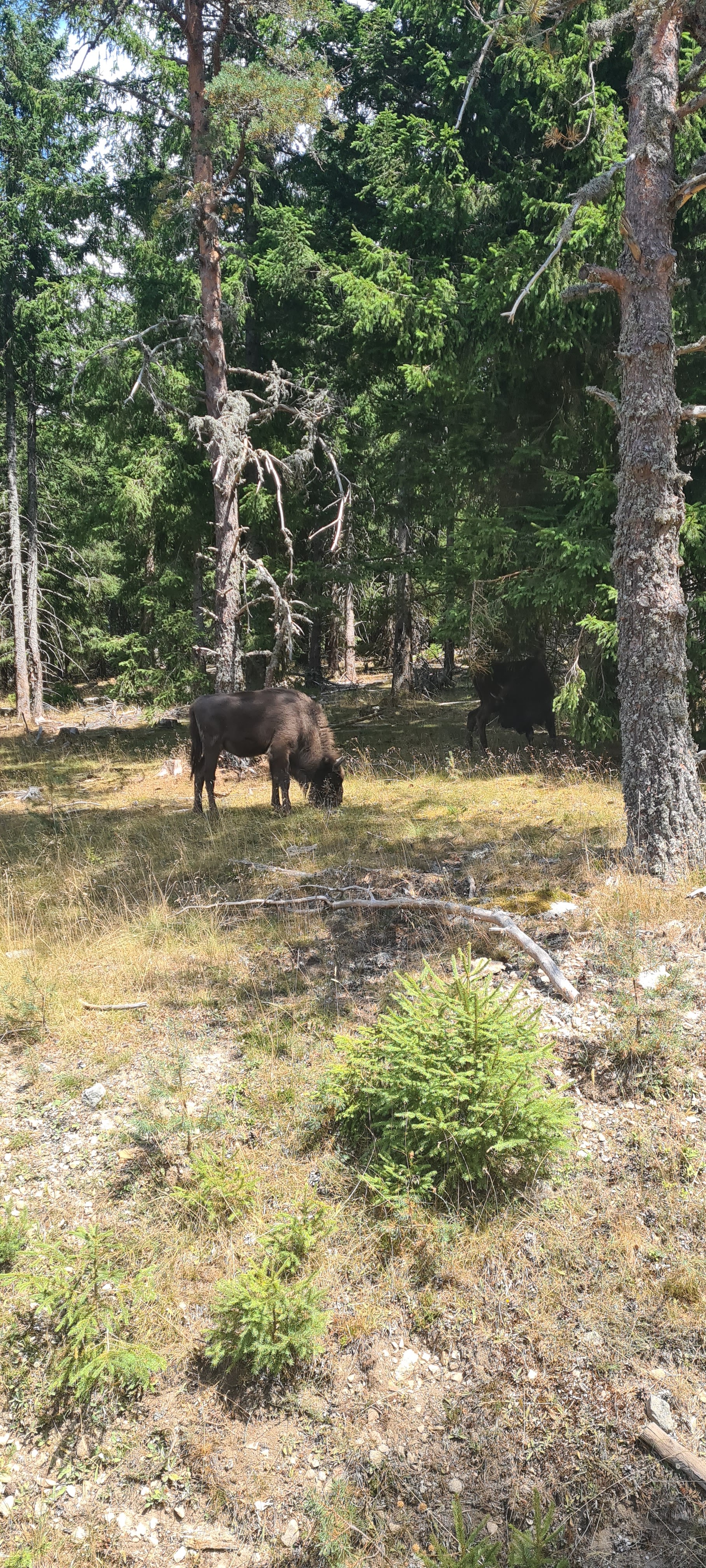 Photo n° 8 de l'avis de Marion.a fait le 05/08/2022 à 13:21