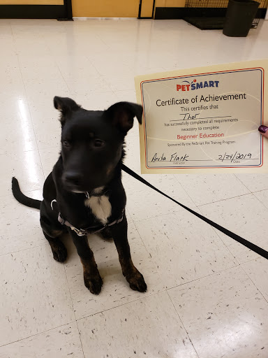 Pet Supply Store «PetSmart», reviews and photos, 1743 Stringtown Rd, Grove City, OH 43123, USA