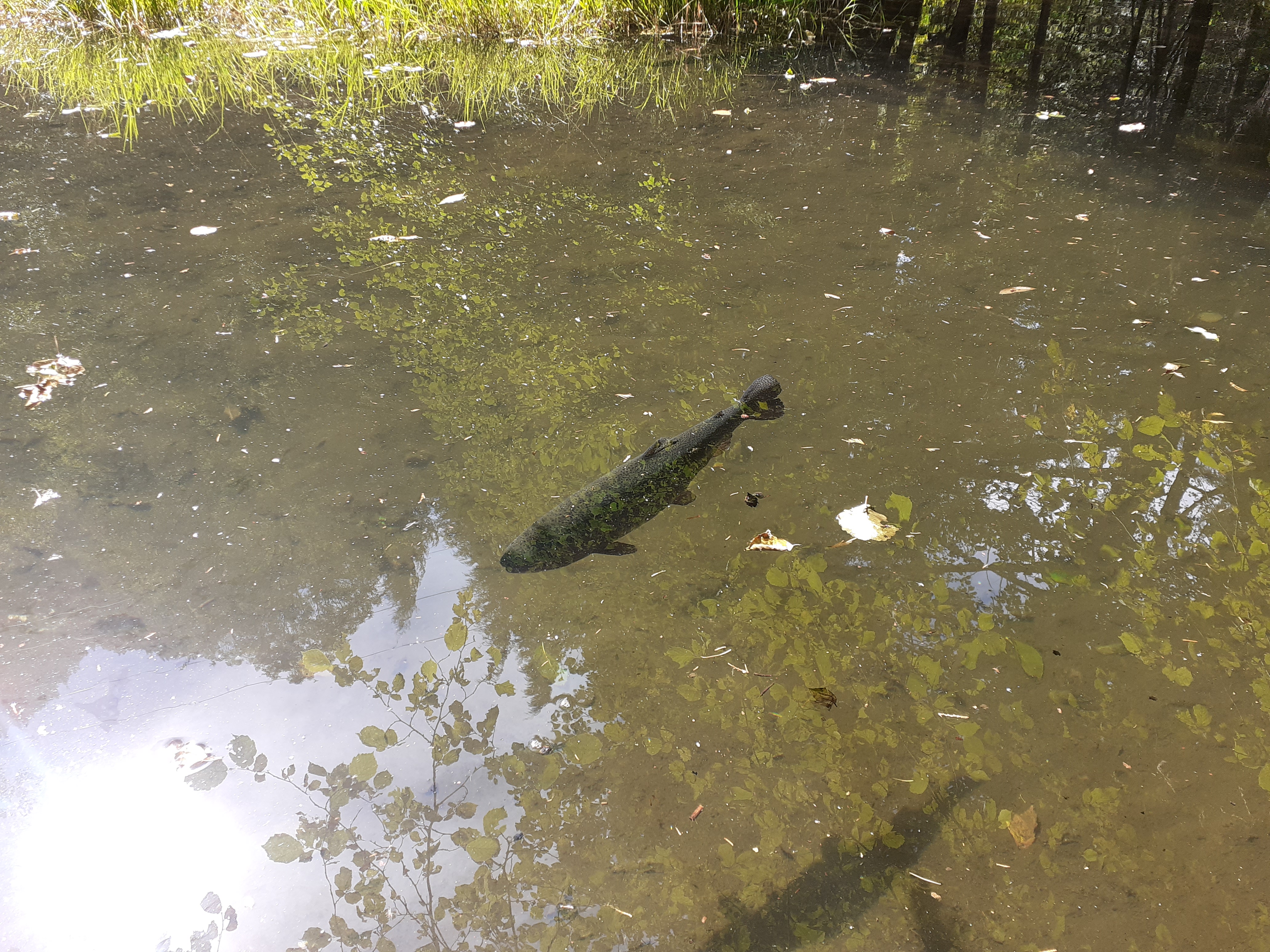 Photo n° 1 de l'avis de Virginie. fait le 06/09/2022 à 13:44