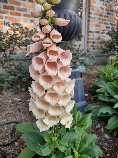 Museum «LSU Rural Life Museum», reviews and photos, 4560 Essen Ln, Baton Rouge, LA 70808, USA