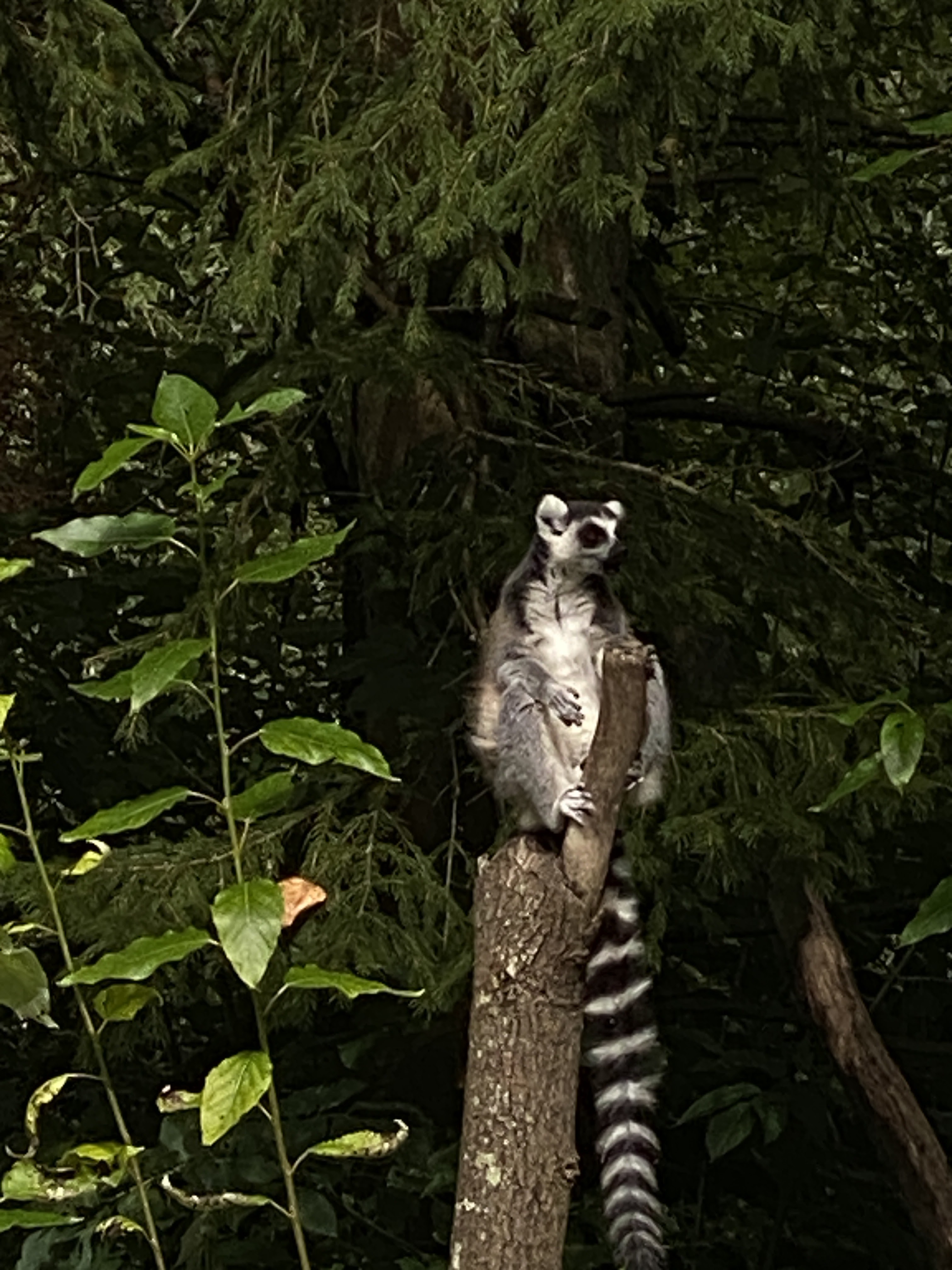 Photo n° 3 de l'avis de Laetitia.r fait le 15/08/2023 à 14:48