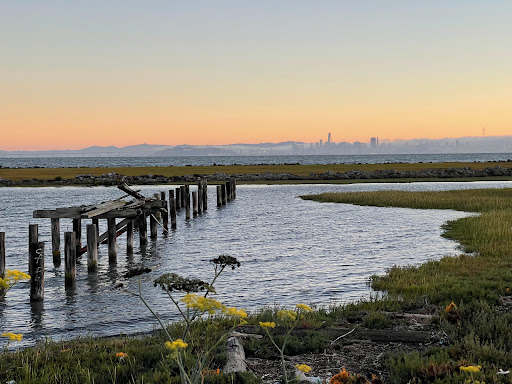 Point Isabel Regional Shoreline