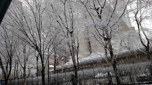 Performing Arts Theater «Lincoln Center for the Performing Arts», reviews and photos, 10 Lincoln Center Plaza, New York, NY 10023, USA