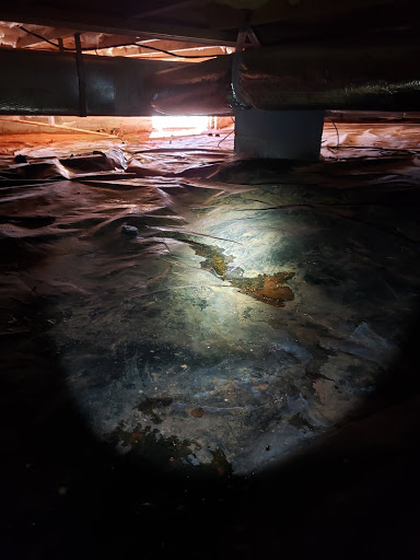 General Contractor «Dry Pro Foundation and Crawlspace Specialists», reviews and photos