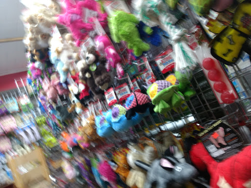 Pet Supply Store «Spoiled Brats», reviews and photos, 4 Bennett Ave, New York, NY 10033, USA