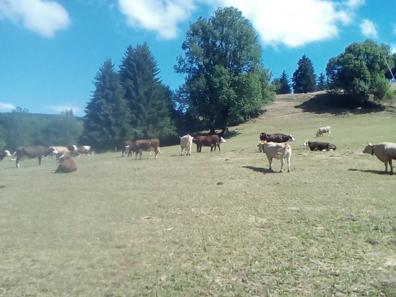 Photo n° 2 de l'avis de Théo.a fait le 04/08/2019 à 16:48