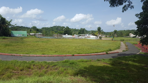 Gimnasio al Aire Libre y Pista