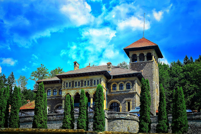 Opinii despre Castelul Cantacuzino în <nil> - Agenție de turism