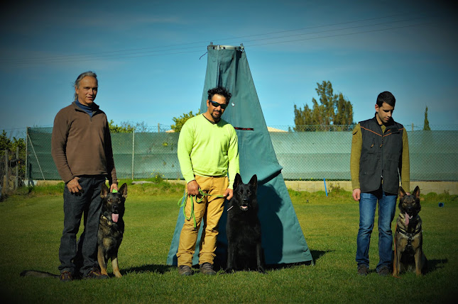 Avaliações doEscola de Cães - Iron Dog Algarve em Loulé - Academia