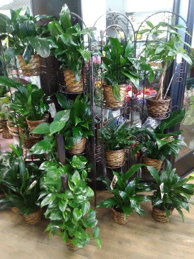 Florist «Casas Adobes Flower Shop», reviews and photos, 7090 N Oracle Rd #194, Tucson, AZ 85704, USA