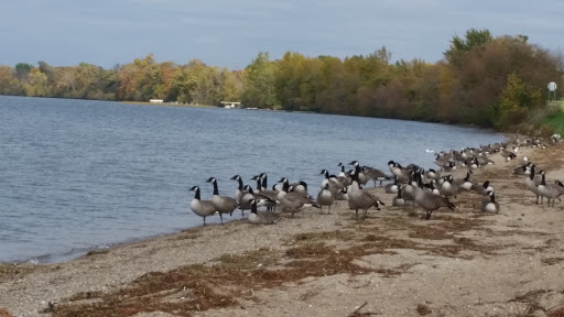 Park «Lake Waconia Regional Park», reviews and photos, 8170 Paradise Ln, Waconia, MN 55387, USA
