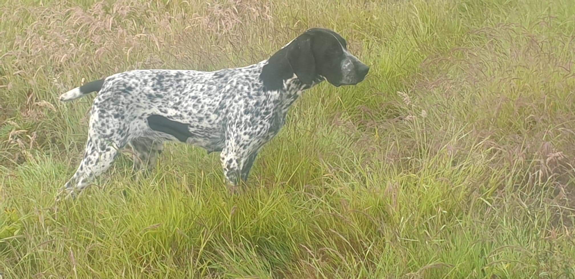 Photo n° 1 de l'avis de J-LOUIS.I fait le 11/07/2020 à 17:04