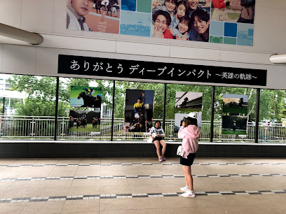 ライオン 札幌競馬場店