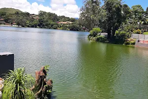 Lago Do Javary image