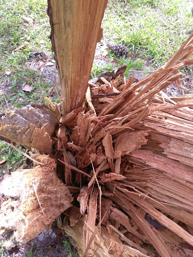 Park «Lake Mills Park», reviews and photos, 1301 Tropical Ave, Chuluota, FL 32766, USA