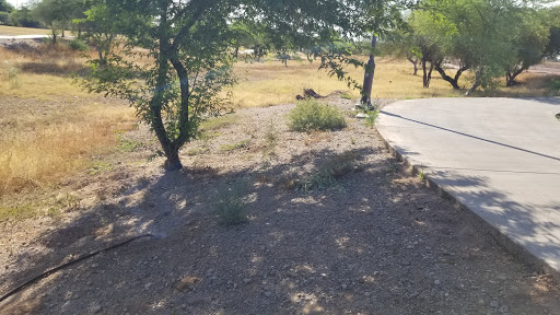 Park «Bicentennial Park», reviews and photos, 16705 N Nash St, Surprise, AZ 85378, USA