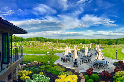 Vineyard «Laurentia Vineyard & Winery», reviews and photos, 4599 S Madison Rd, Madison, OH 44057, USA