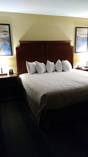 Hotel «Embassy Suites by Hilton Bloomington/Minneapolis», reviews and photos, 2800 American Blvd W, Bloomington, MN 55431, USA