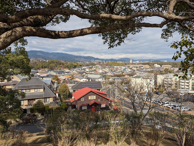 フェニックス遊園