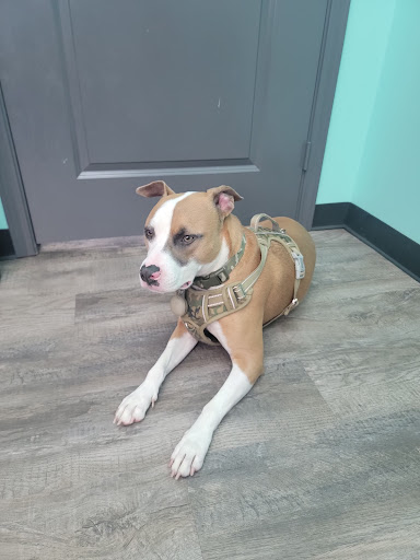 606 Rayford Rd d, Spring, TX 77386, USA