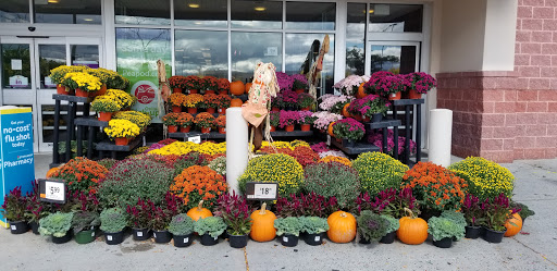 Supermarket «Super Stop & Shop», reviews and photos, 415 Cooley St, Springfield, MA 01119, USA