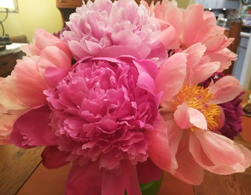 Florist «Bonnie Brae Flowers Inc», reviews and photos, 5595 E Evans Ave, Denver, CO 80222, USA