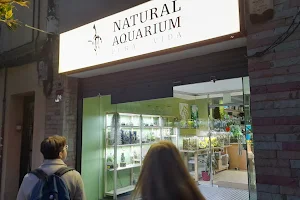 Natural Aquarium Pura Vida image