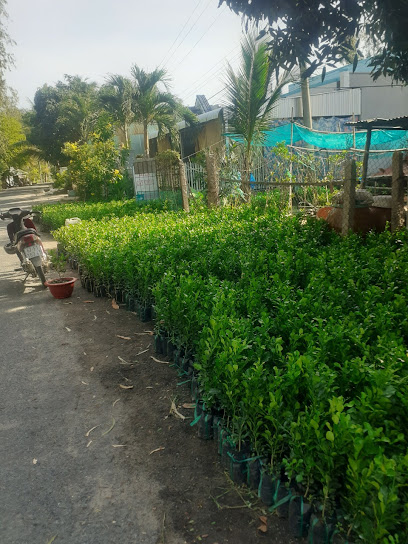 Vườn Chanh Thái Thành Ký