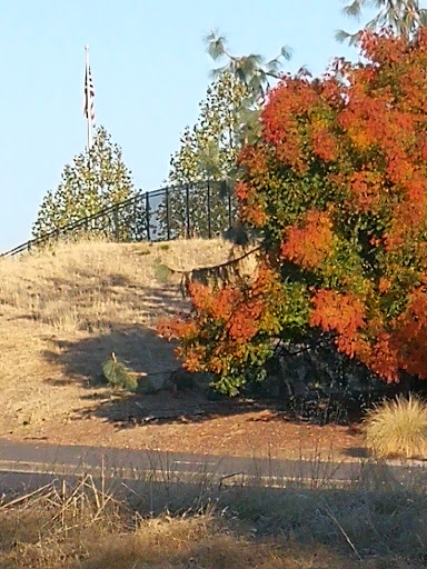 Park «Maidu Regional Park», reviews and photos, 1550 Maidu Dr, Roseville, CA 95661, USA