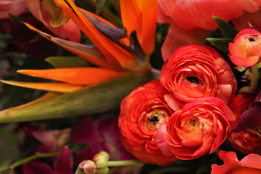 Florist «Main Floral», reviews and photos, 115 E Main St, Anoka, MN 55303, USA