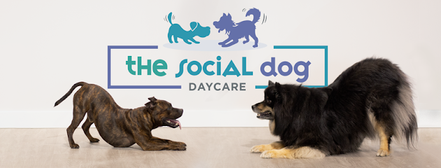 The Social Dog Daycare