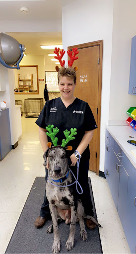 Midlands Veterinary Practice image