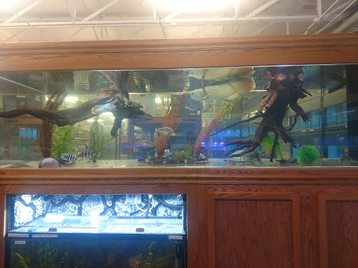 Pet Store «The Pet Zone», reviews and photos, 20 W Oak St, Pittston, PA 18640, USA