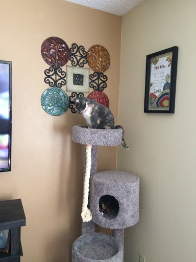 Pet Supply Store «PetSmart», reviews and photos, 860 NE Mall Blvd, Hurst, TX 76053, USA