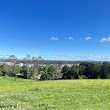 Lions Lookout