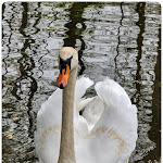 Photo n°3 de l'avis de Constanze.o fait le 08/04/2024 à 18:30 sur le  Château de Rammenau à Rammenau