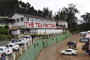 The Tea Factory & The Tea Museum image