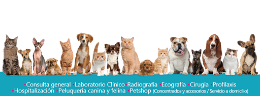 La Mascotería, Veterinaria en envigado, Consulta veterinaria, Consulta a domicilio, Emergencias veterinaria, Cirugía veterinaria, Farmacia veterinaria, Profilaxis para perros y gato, Laboratorio Clínico, Peluquería para perros y gatos, Tienda de mascota -