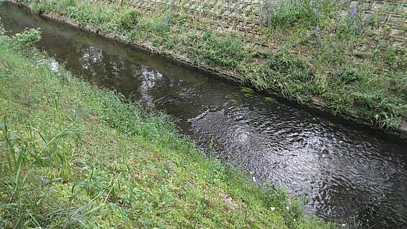 砂川堀湧水群