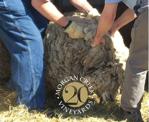 Winery «Morgan Creek Vineyards and Winery», reviews and photos, 23707 478th Ave, New Ulm, MN 56073, USA