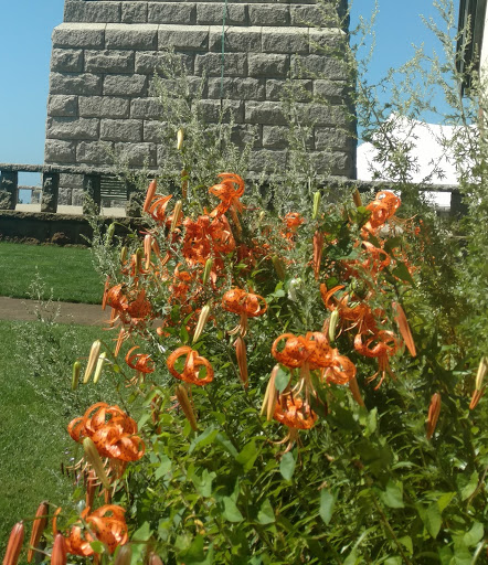Monument «Pilgrim Monument», reviews and photos, 1 High Pole Hill Rd, Provincetown, MA 02657, USA
