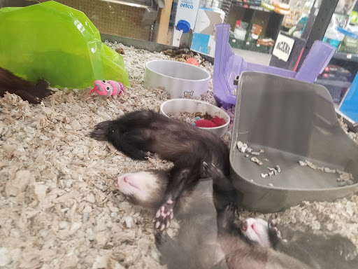 Pet Supply Store «Petco Animal Supplies», reviews and photos, 1215-1309 NJ-33 #1, Hamilton Township, NJ 08690, USA