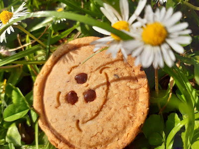 La Ronde Des Biscuits à Le Relecq-Kerhuon