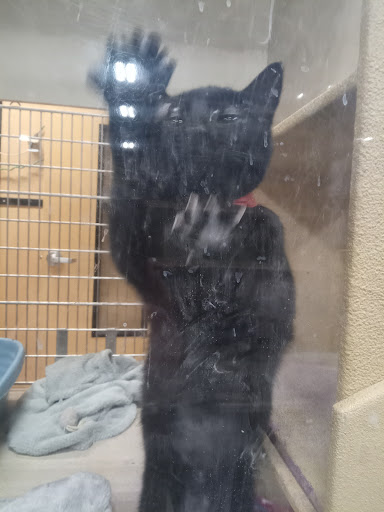 Pet Supply Store «PetSmart», reviews and photos, 10460 Town Center Dr, Westminster, CO 80021, USA