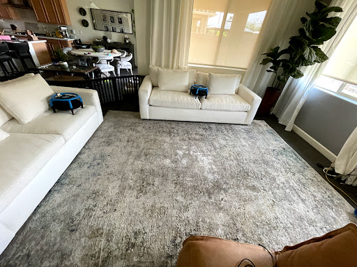 Rinsewell Carpet Cleaning