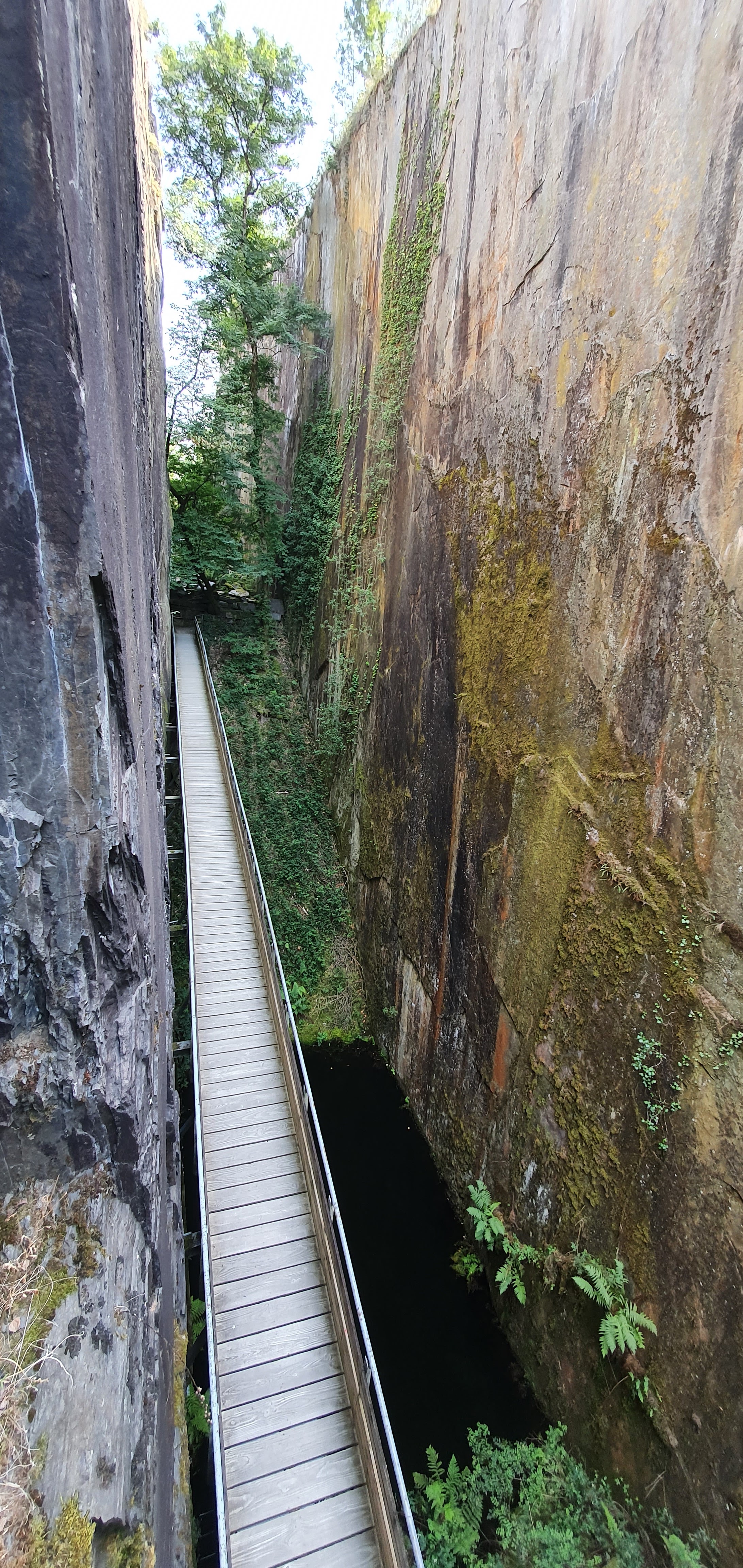 Photo n° 2 de l'avis de DD. fait le 22/07/2020 à 19:48