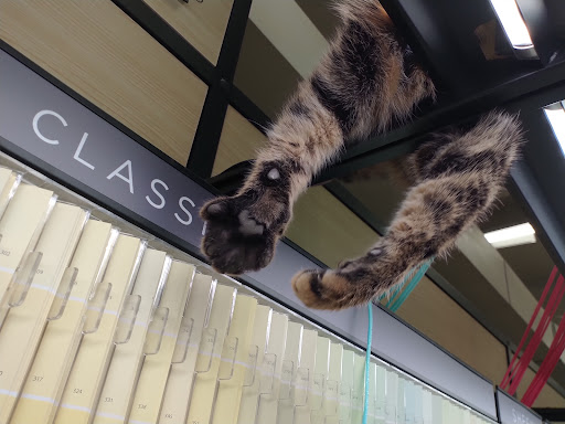 Hardware Store «Ace Hardware/Lumber of Pilot Point», reviews and photos, 316 US-377, Pilot Point, TX 76258, USA