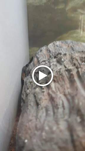 Pet Supply Store «Petco Animal Supplies», reviews and photos, 2140 E Blvd St, Kokomo, IN 46902, USA