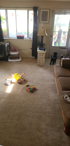 Flooring Store «United Carpet», reviews and photos, 340 Culver Rd, Rochester, NY 14607, USA