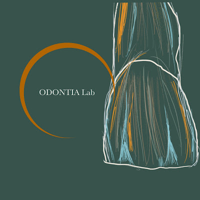 Odontia Lab à Bordeaux